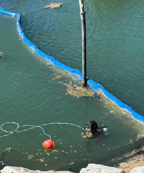 593ea316-f83b-4d8e-8cba-6a604e091b93