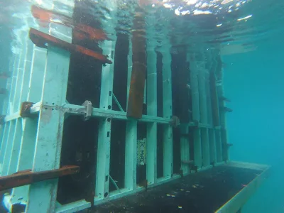 WhatsApp Image 2025-12-11 at 09.55.41 (3)